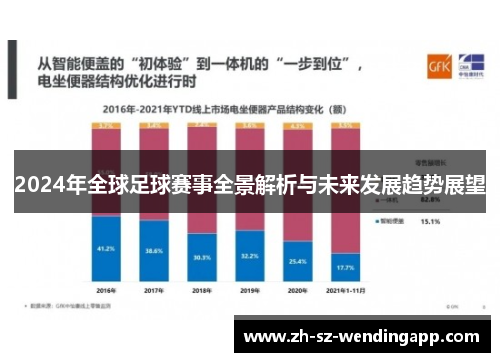 2024年全球足球赛事全景解析与未来发展趋势展望