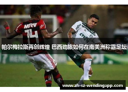 帕尔梅拉斯再创辉煌 巴西劲旅如何在南美洲称霸足坛