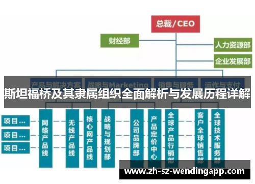 斯坦福桥及其隶属组织全面解析与发展历程详解