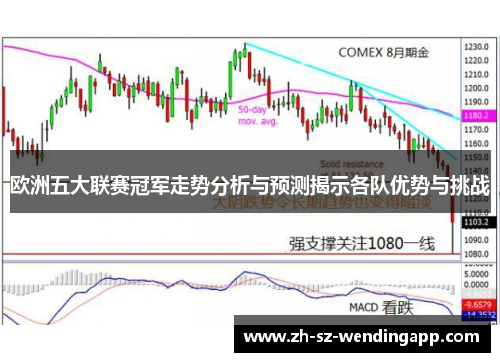 欧洲五大联赛冠军走势分析与预测揭示各队优势与挑战