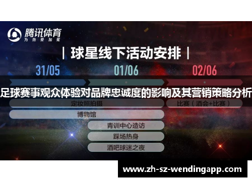 足球赛事观众体验对品牌忠诚度的影响及其营销策略分析