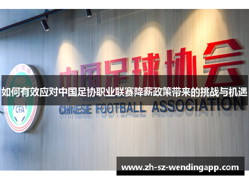 如何有效应对中国足协职业联赛降薪政策带来的挑战与机遇