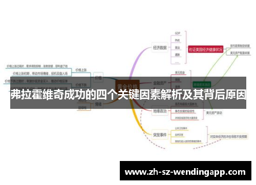 弗拉霍维奇成功的四个关键因素解析及其背后原因 弗拉霍维奇成功的四个关键因素解析及其背后原因