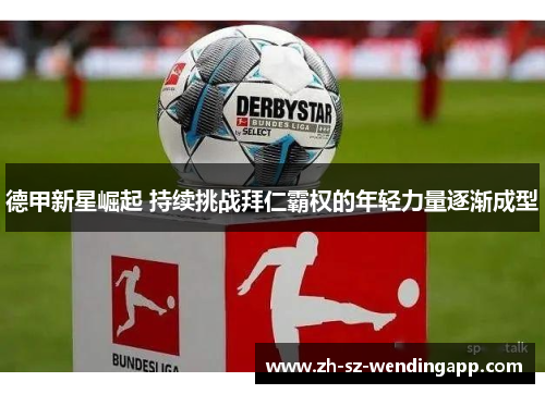 德甲新星崛起 持续挑战拜仁霸权的年轻力量逐渐成型