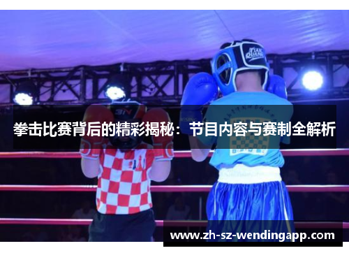 拳击比赛背后的精彩揭秘:节目内容与赛制全解析 拳击比赛背后的精彩揭秘:节目内容与赛制全解析