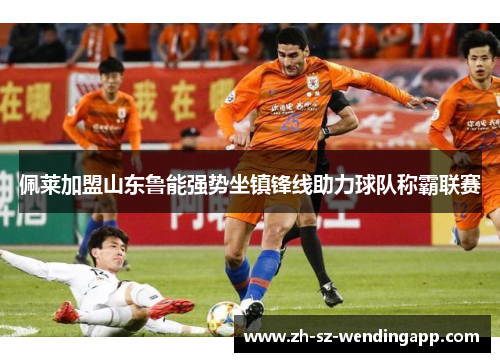 佩莱加盟山东鲁能强势坐镇锋线助力球队称霸联赛