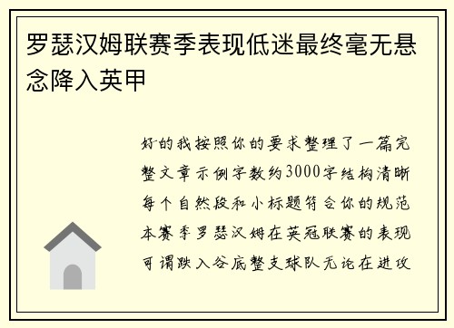 罗瑟汉姆联赛季表现低迷最终毫无悬念降入英甲