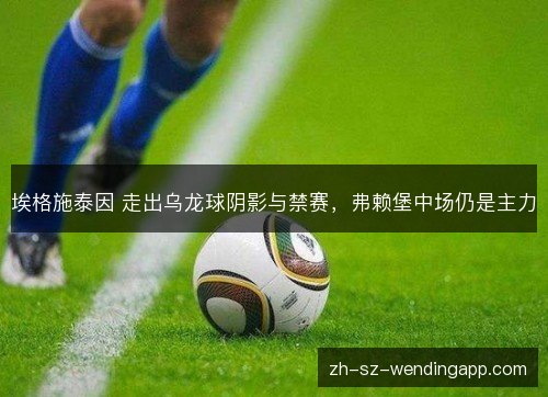埃格施泰因 走出乌龙球阴影与禁赛,弗赖堡中场仍是主力 埃格施泰因 走出乌龙球阴影与禁赛,弗赖堡中场仍是主力
